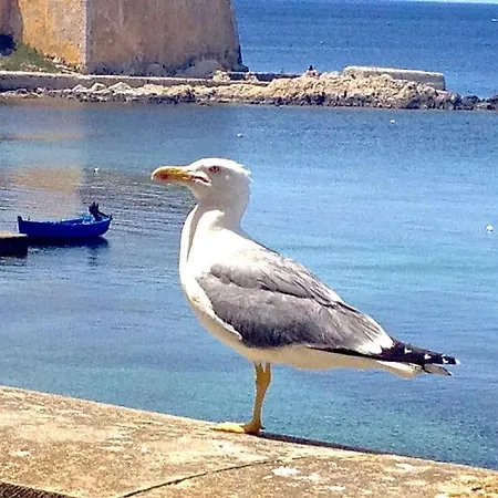 Lato Nord Il Rosso Vicino Al Mare * Trapani